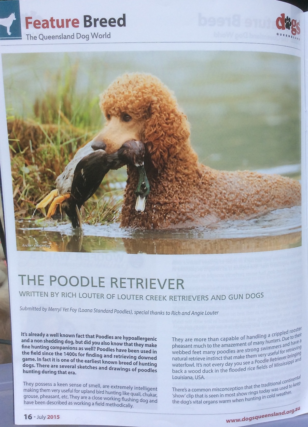 Dogs QUEENSLAND Magazine July 2015 (Australia)