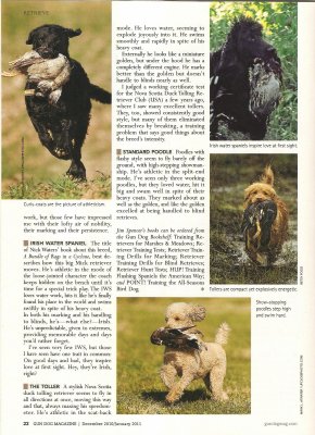 Layla featured in Gun Dog Magazine.