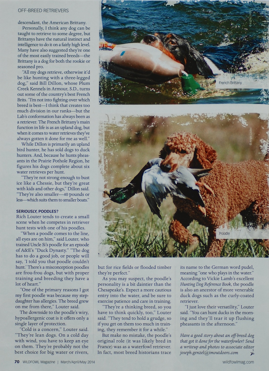 March-April-May 2014 WILDFOWL Magazine